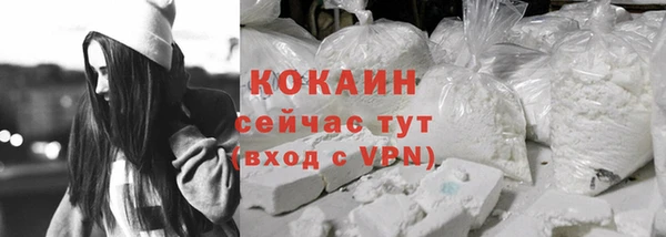 молекула духа Балахна