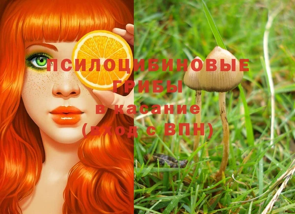 твердый Арсеньев